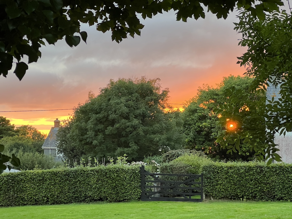 Large trees, hedges and grass with a bright orange sunset and clouds in the background
