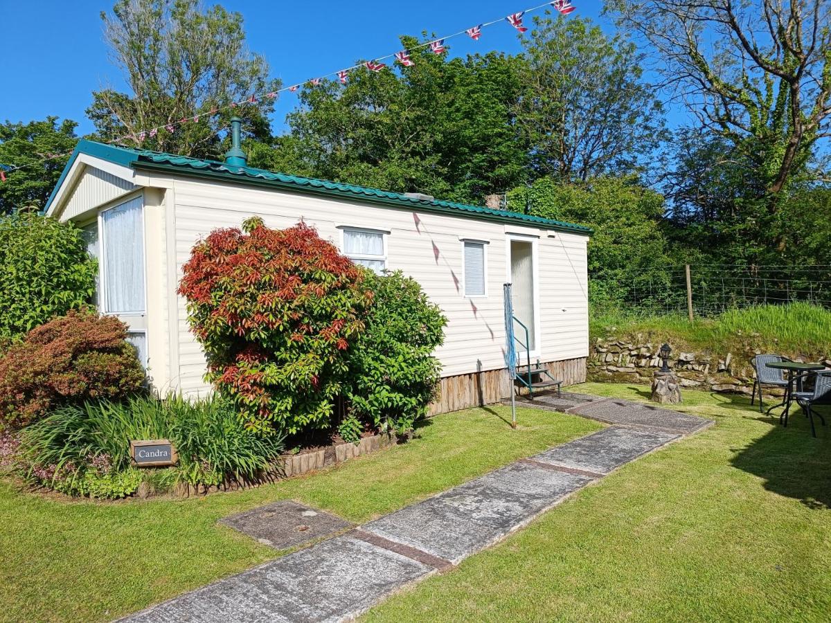 Cream caravan with green and red bushes, grass and concrete pathway in front and tall trees behind