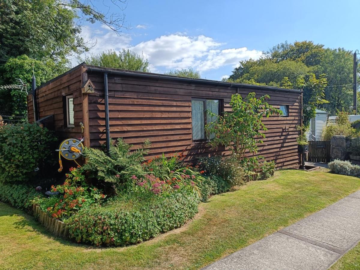 Wooden chalet with bushes, plants, grass and concrete pathway in front