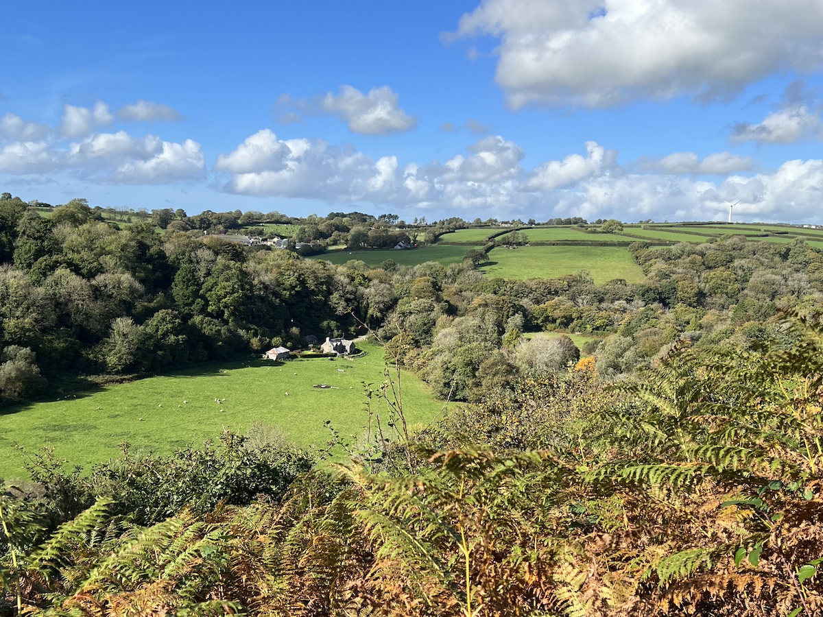 Farm buildings nestled in a field surrounded by moorland