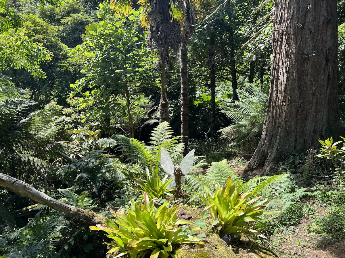 Woodland with trees and plants