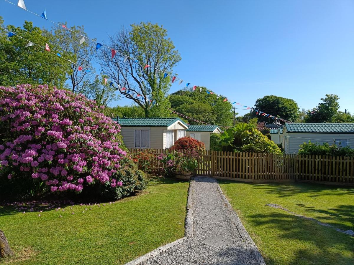 Bright pink bush, grass and concrete pathway in front of a wooden picket fence and cream caravans with tall trees behind