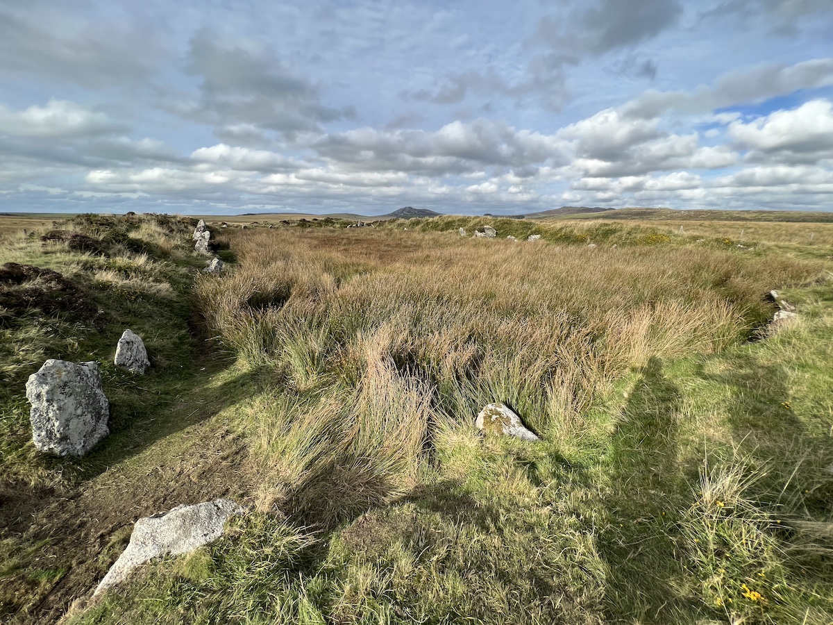 Grassy moorland and rocks
