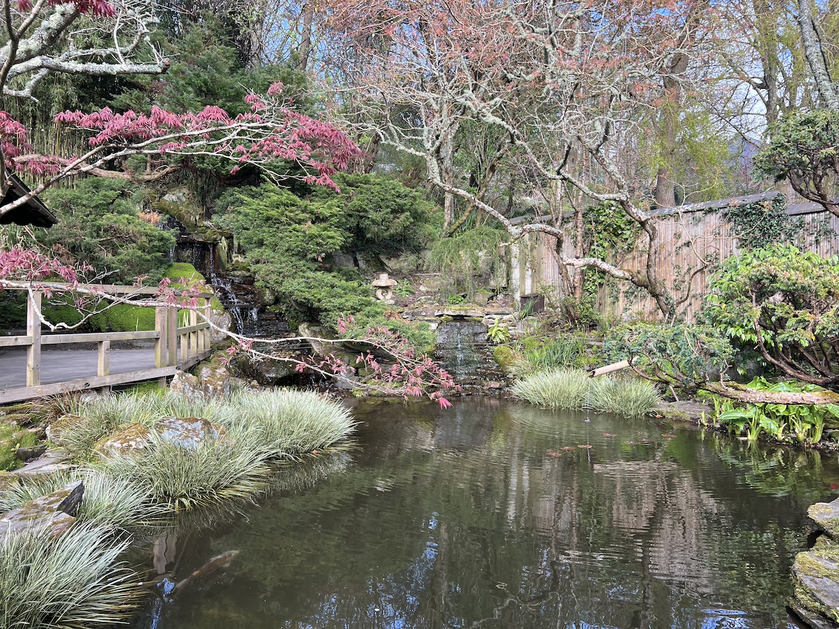 Large pool of water surrounded by trees