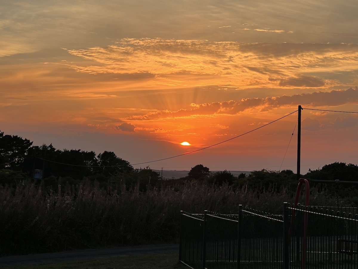 Sunset over trees and fence
