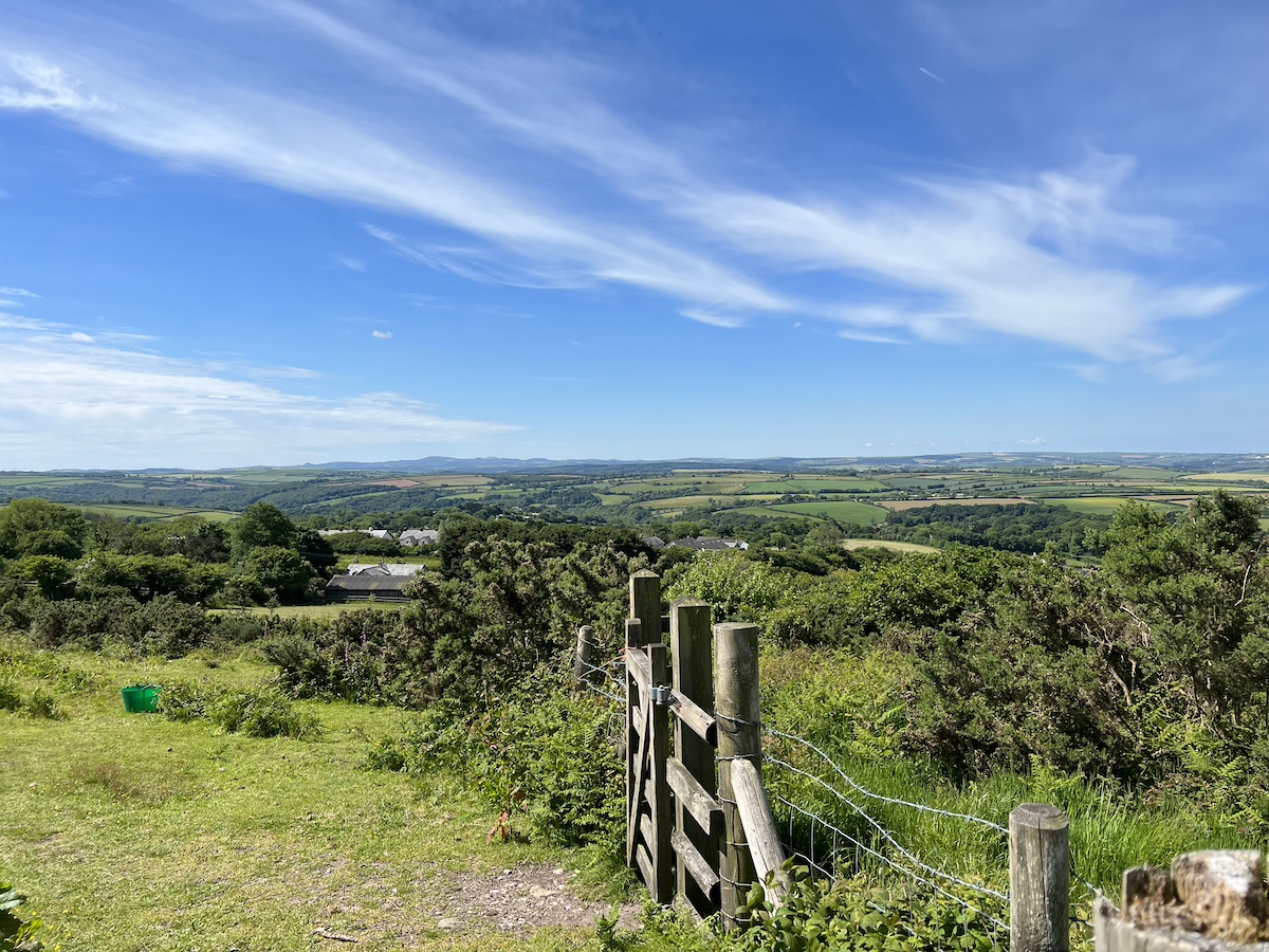 Moorland with fence and gate and blue sky